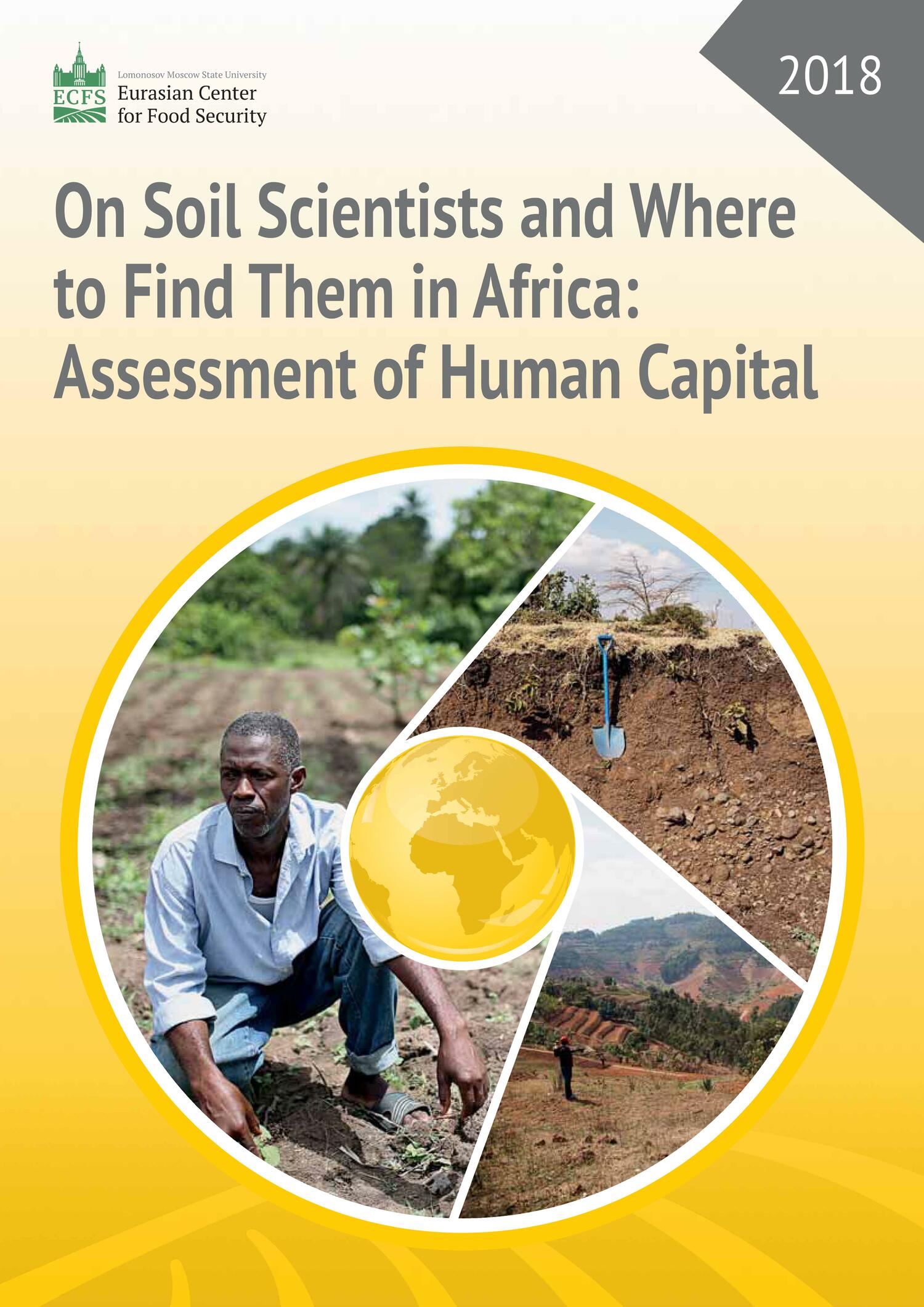 On Soil Scientists and Where to Find Them in Africa: Assessment of Human Capital