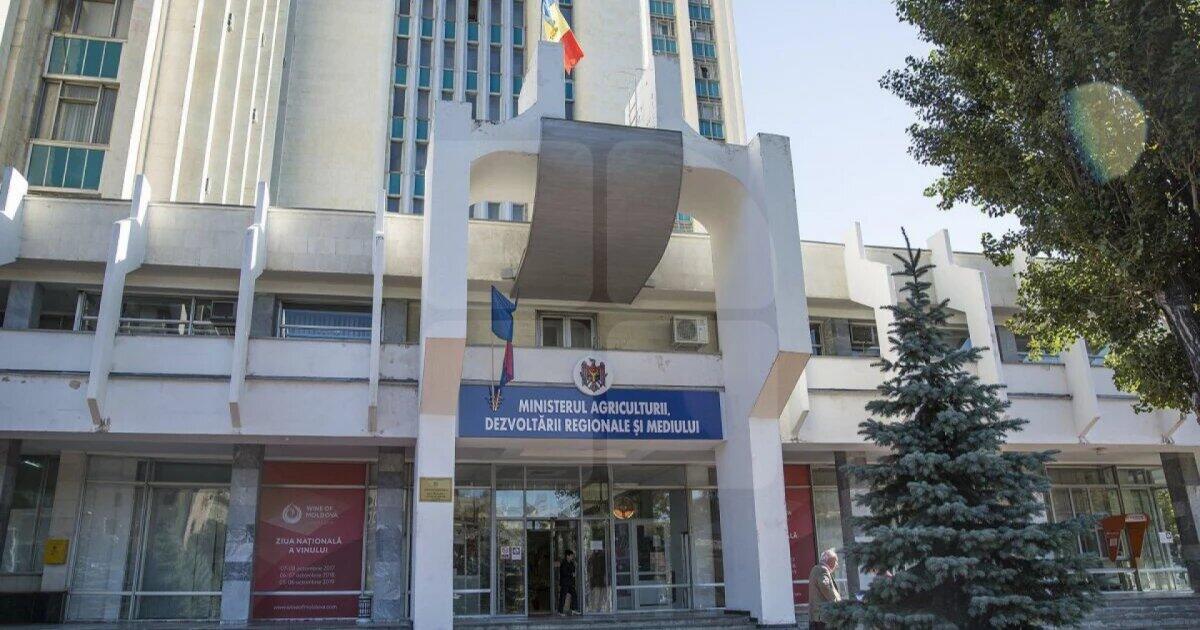 Повышение устойчивости сельского хозяйства Молдовы
