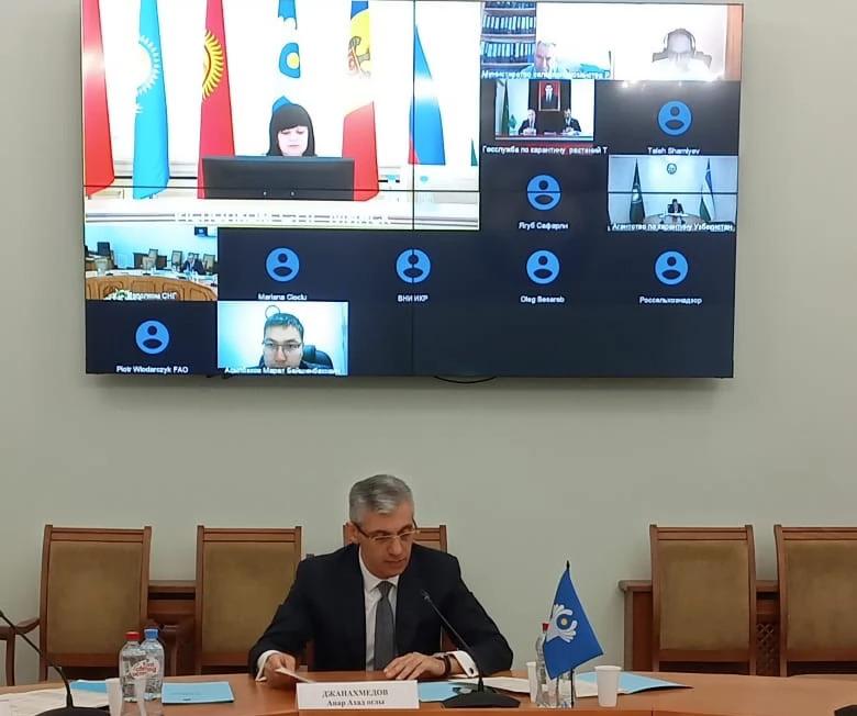 Заседание Координационного совета по карантину растений государств – участников СНГ