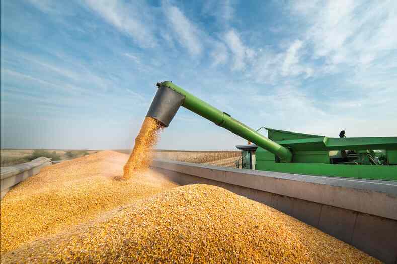 Экспорт продукции АПК из РФ может превысить $45 млрд
