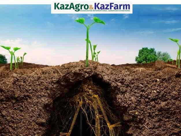 Конференция по сохранению плодородия почв в рамках выставки KazAgro 2022