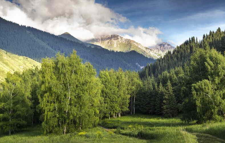 Озеро кольсай 2: фото, изображения и картинки