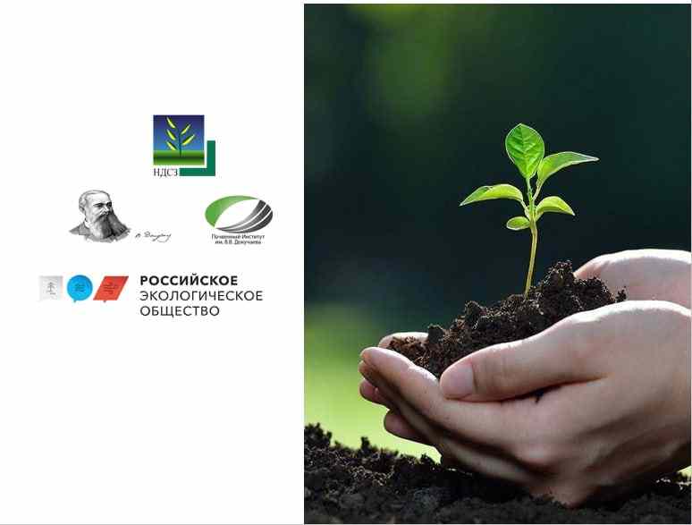 Всероссийский конкурс «Почва – жизнь»