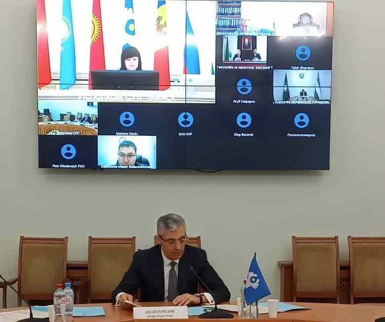 Заседание Координационного совета по карантину растений государств – участников СНГ